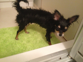 image-20130627153257.png